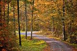 Autumn Backroad_22861